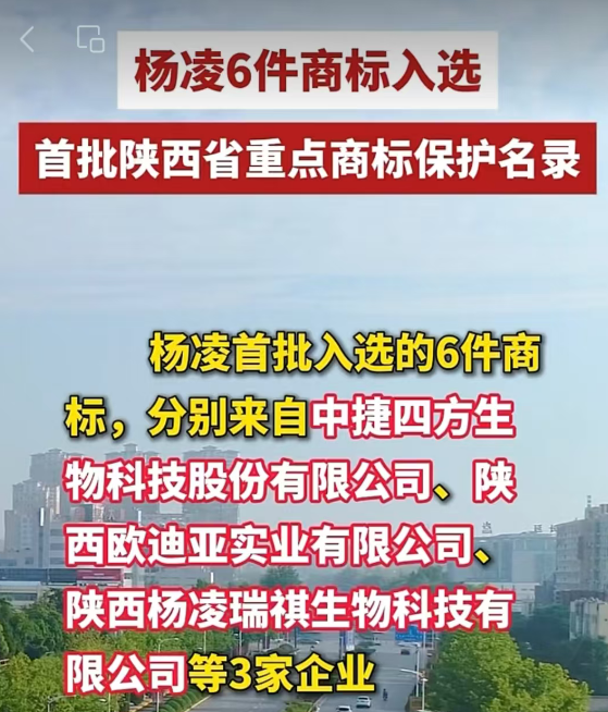 喜讯！&ldquo;瑞祺&rdquo;商标入选首批陕西省重点商标保护名录，彰显品牌知识产权硬实力